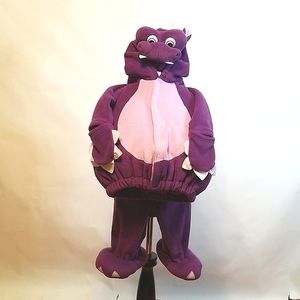 Purple Dragon costume 12m